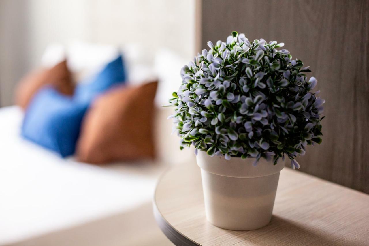 לבוב Alfa Apartments Kniazia Romana 11 מראה חיצוני תמונה